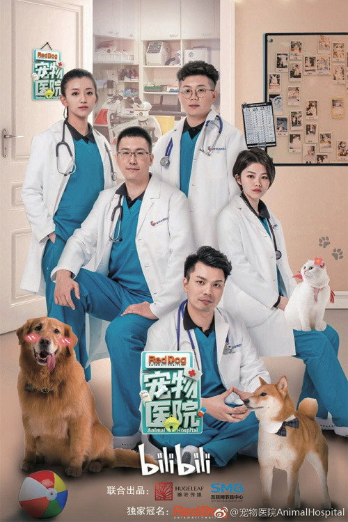 Animal Hospital poster