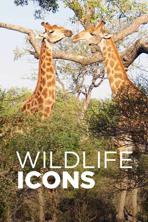 Wildlife Icons poster