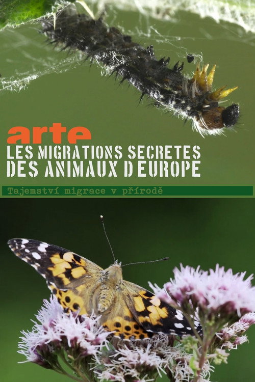 Secret Migrations poster