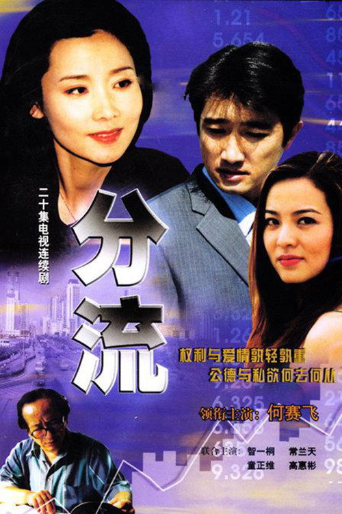 分流 poster