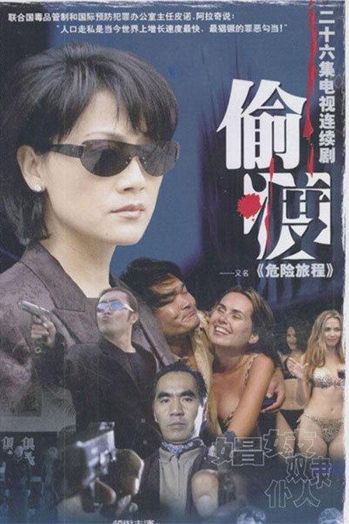 Dangerous Journey poster
