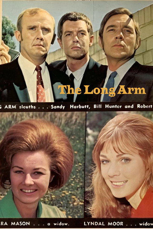 The Long Arm poster