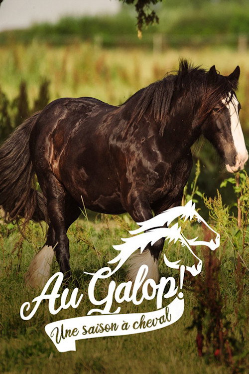 Au galop ! une saison à cheval poster