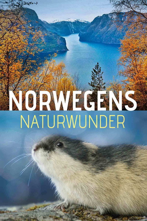 Norwegens Naturwunder poster