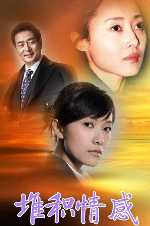 堆积情感 poster