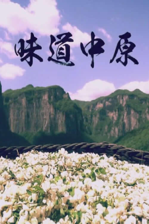 味道中原 poster
