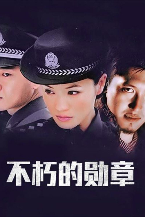 不朽的勋章 poster