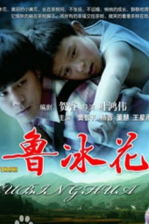 鲁冰花 poster