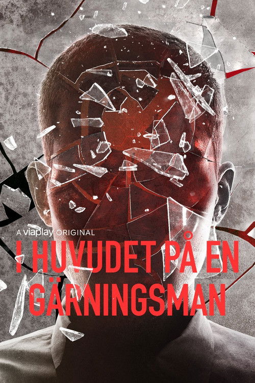 In The Mind of A Perpetrator poster