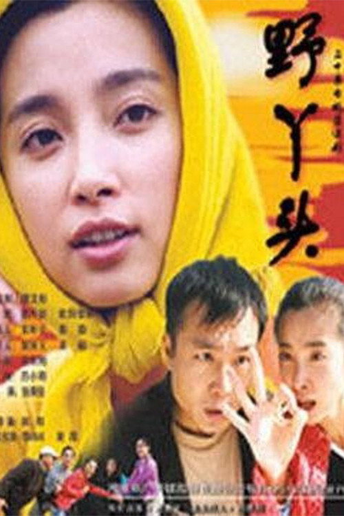 野丫头 poster