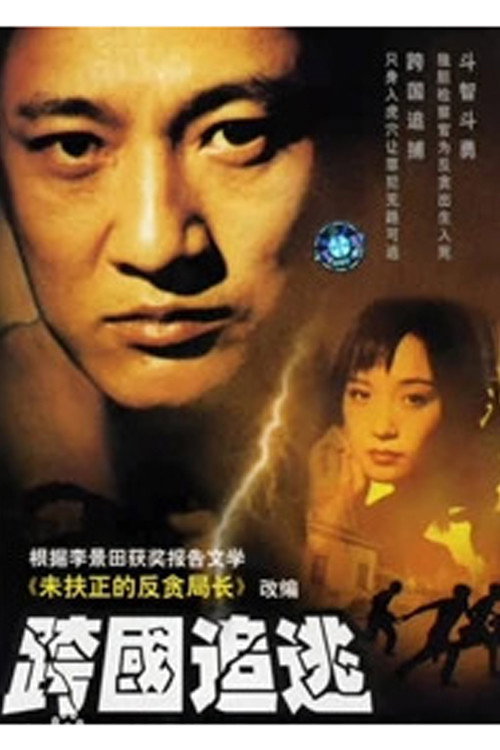 Pursue and Capture poster