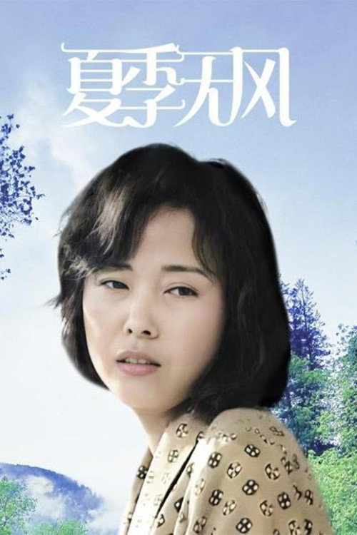 Summer Without Breeze poster
