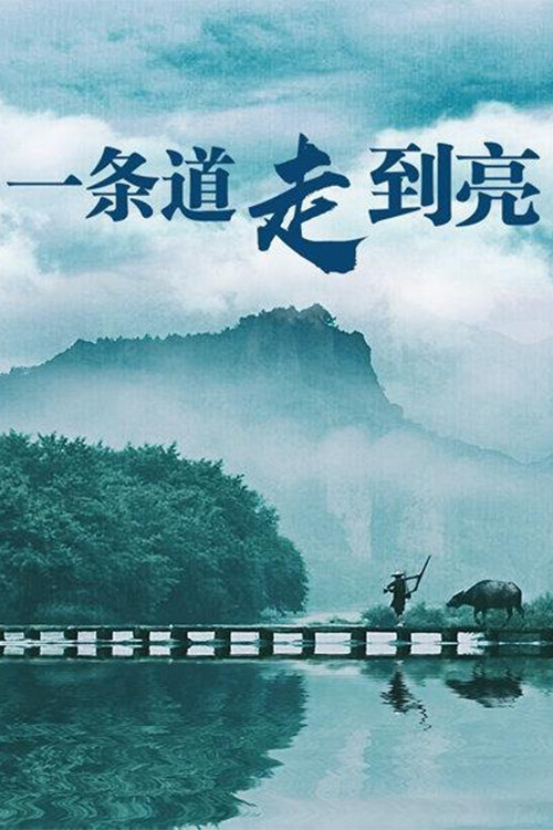 一条道走到亮 poster