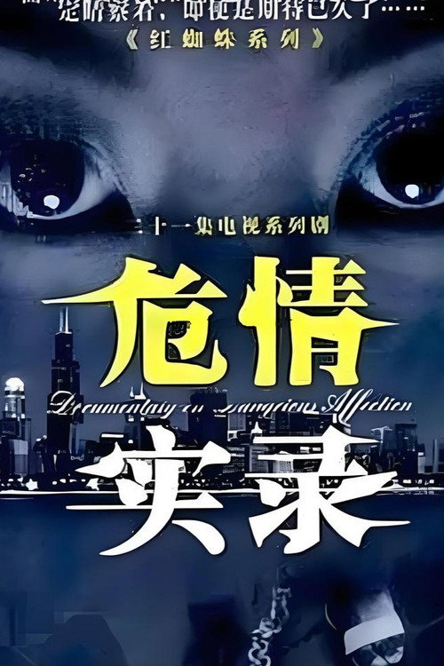 危情实录 poster