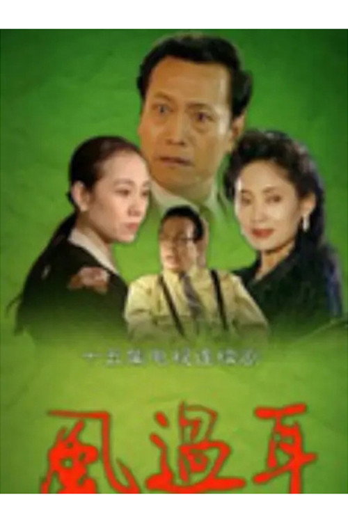 风过耳 poster