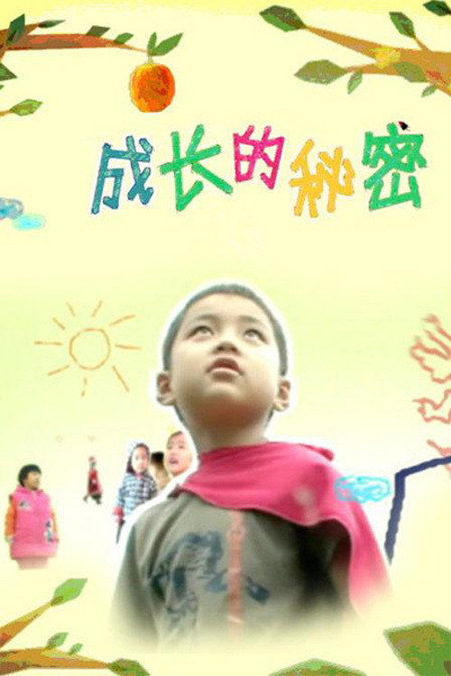 成长的秘密 poster