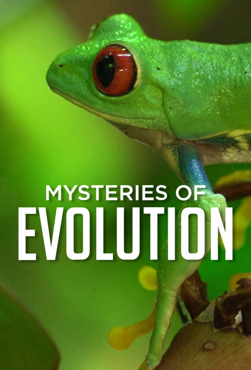 Mysteries of Evolution poster