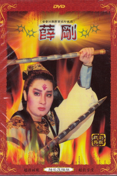 薛剛 poster