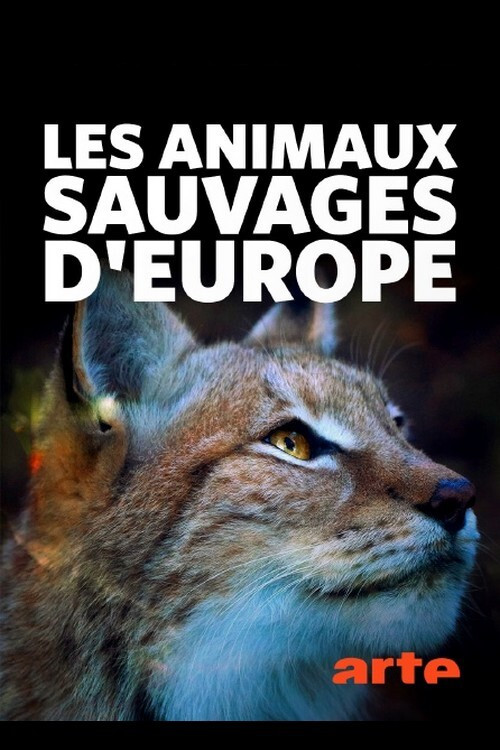 Les Animaux sauvages d'Europe poster
