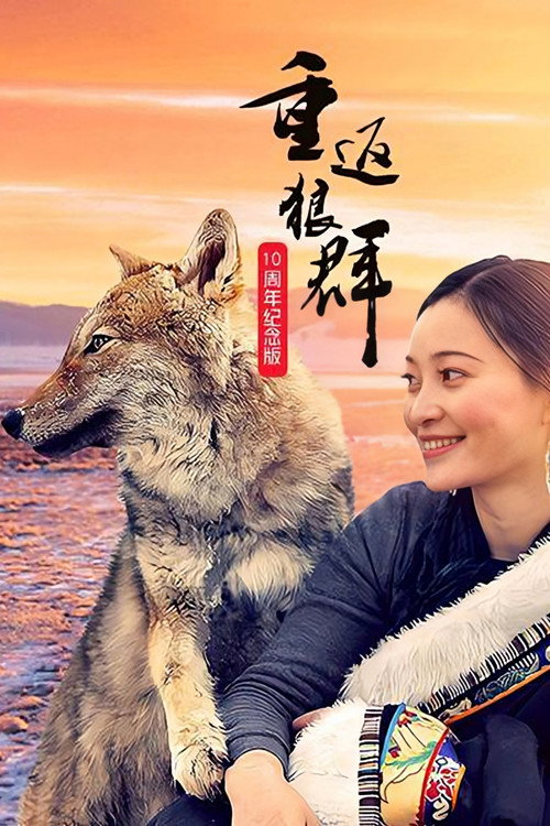 Return to the Wolves 10th Anniversary Special poster