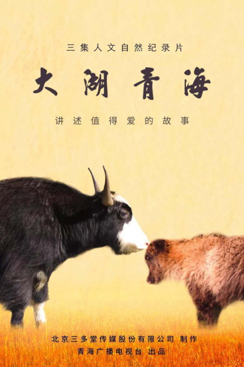 大湖·青海 poster