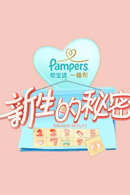新生的秘密 poster