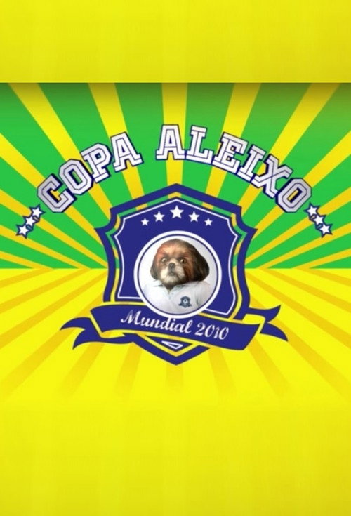 Copa Aleixo 2010 poster
