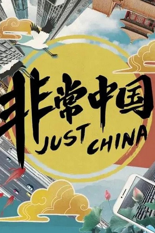 非常中国 poster
