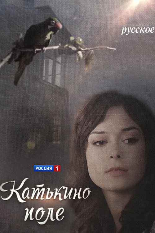 Kate's Field poster