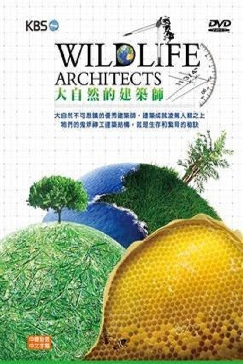 大自然的建筑师 poster