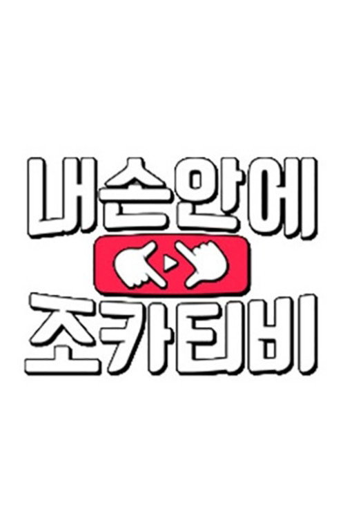 내 손안에 조카티비 poster
