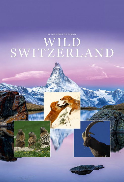 Wild Switzerland poster