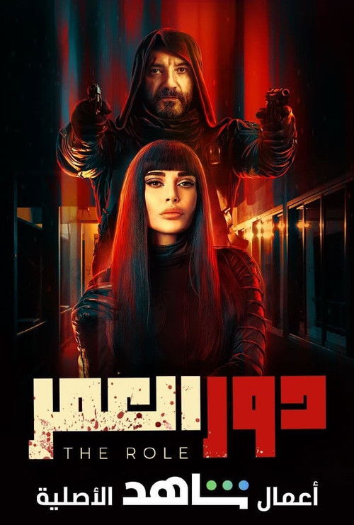 The Role poster