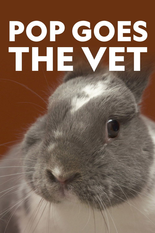 Pop Goes the Vet poster