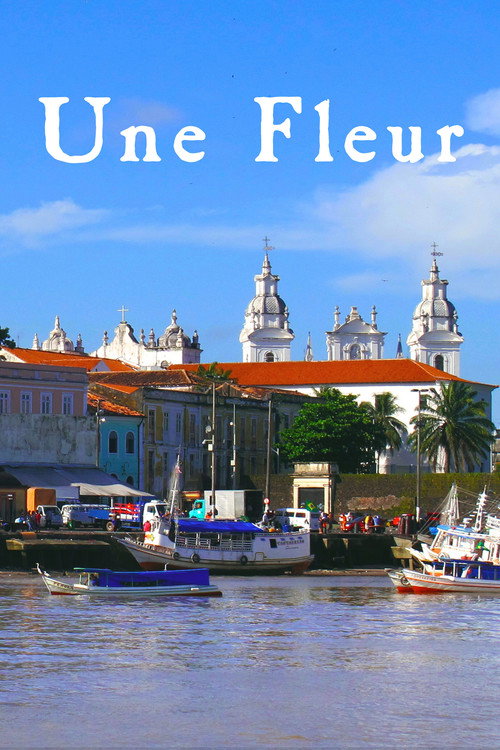 Une fleur dans le Pacifique poster