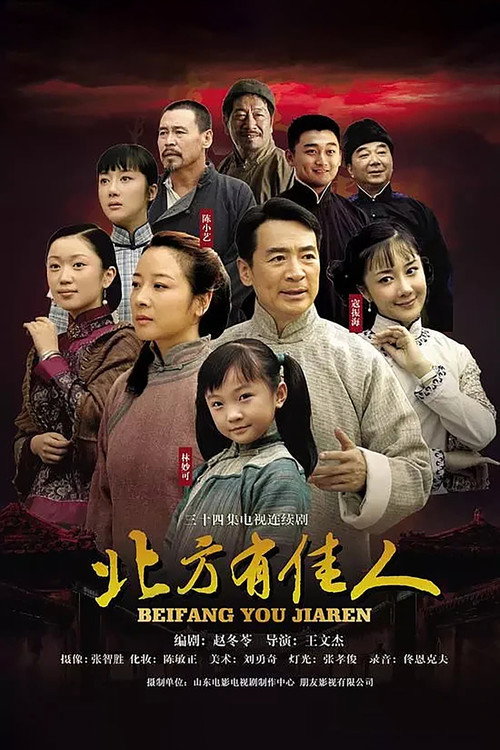 Beauty in North poster