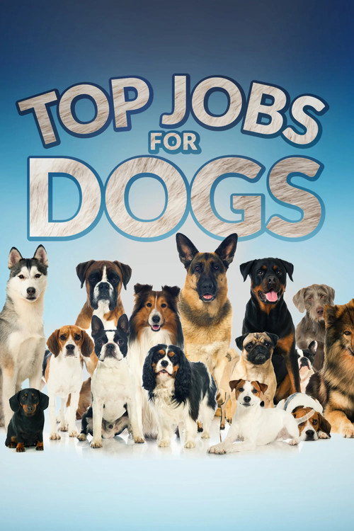 Top Jobs for Dogs poster