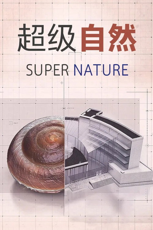 超级仿生 poster