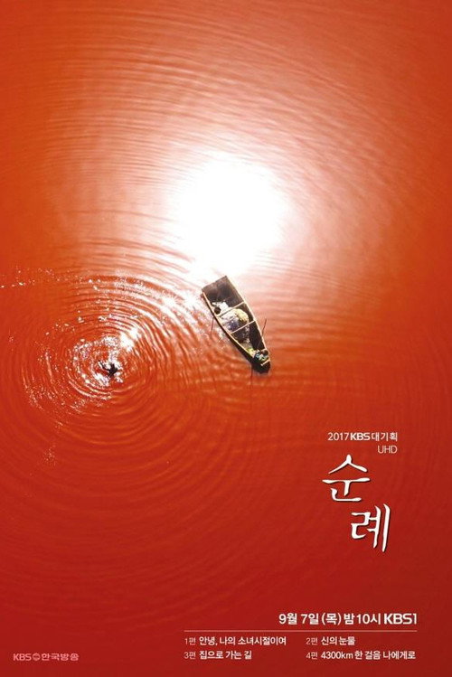 순례 poster