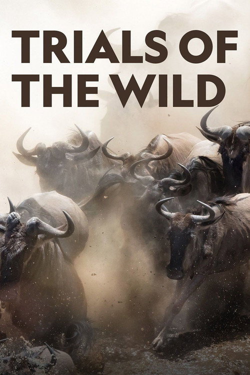 Trials of the Wild poster