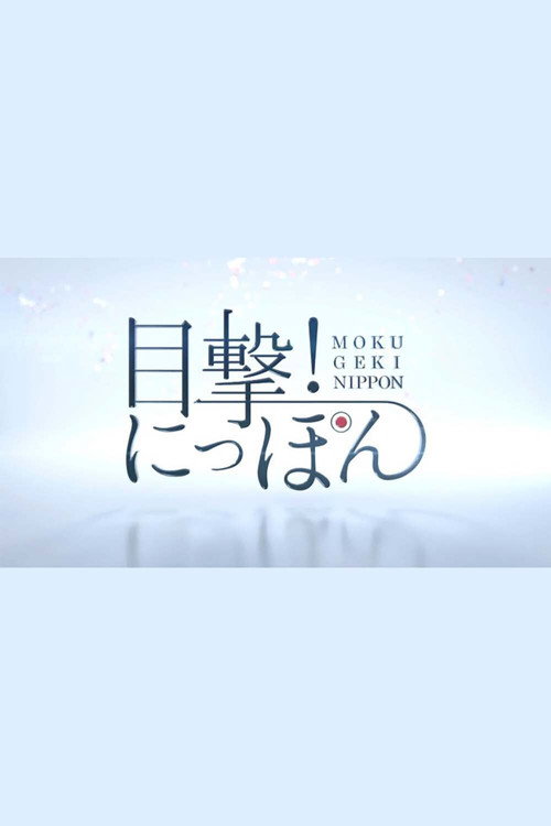目撃!にっぽん poster