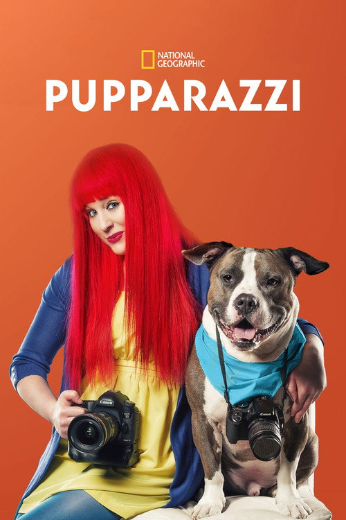 Pupparazzi poster