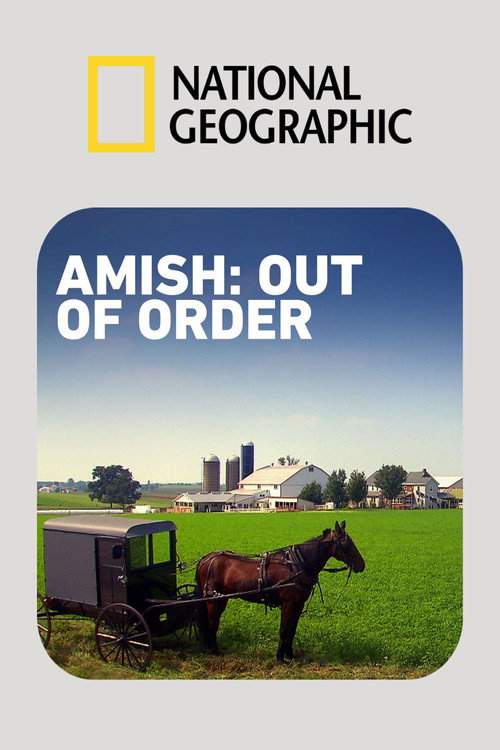 Amish: Out of Order poster