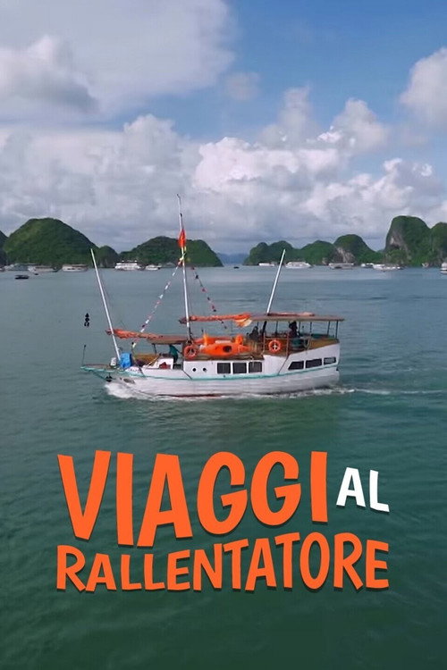 Viaggi al rallentatore poster