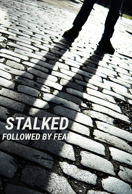 Stalked: Followed By Fear poster