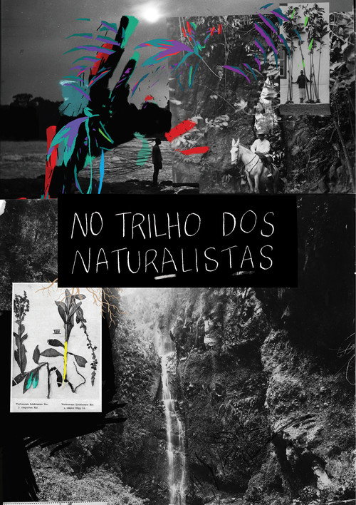 Tracking the Naturalists poster