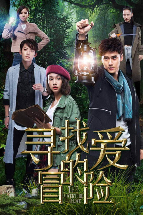 The Adventure for Love poster