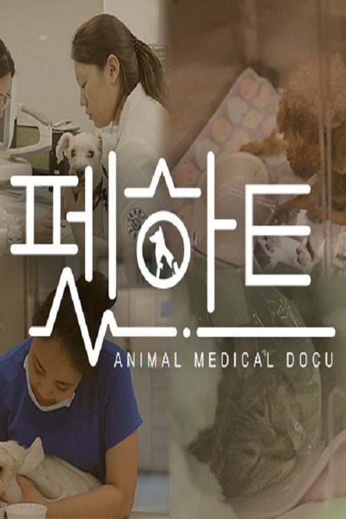 펫하트 poster