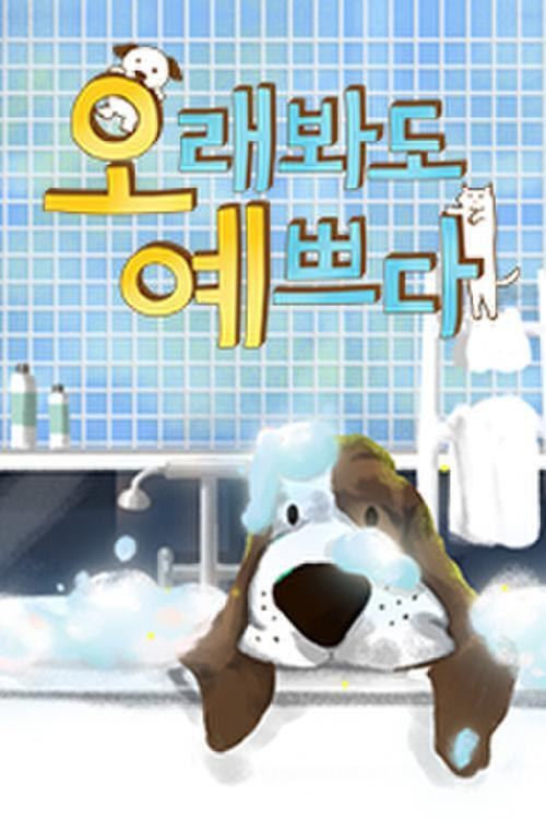 오래봐도 예쁘다 poster