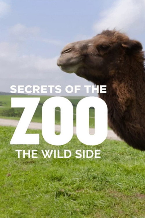 Secrets of the Zoo: The Wild Side poster